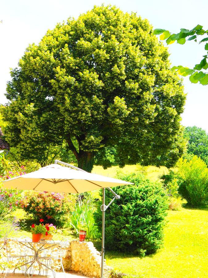 La Belle Verte Grignols Exterior foto